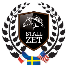 zetstallion-logotyp–3flagg